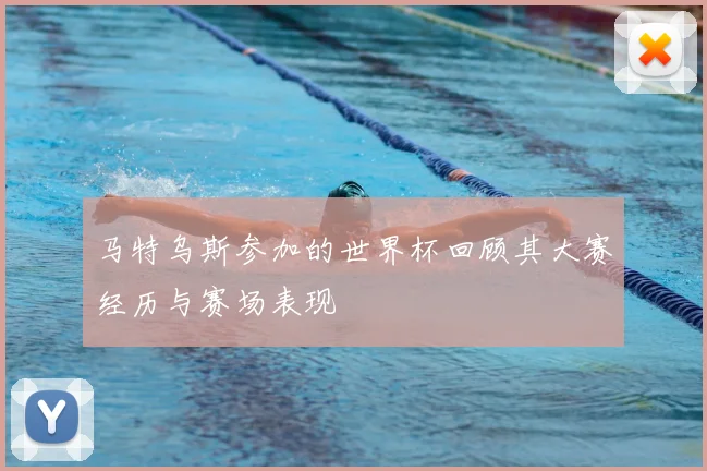 马特乌斯参加的世界杯回顾其大赛经历与赛场表现